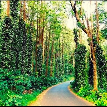 Sp Resort Inn Yercaud Exterior foto